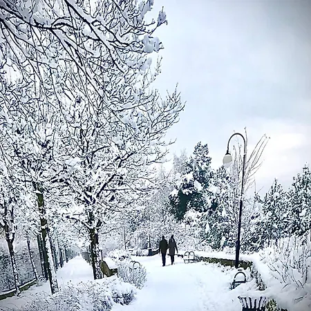 홈스테이 Kwatera Prywatna Maja *