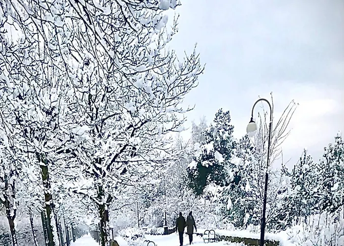 Homestay Kwatera Prywatna Maja *